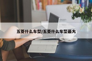 五菱什么车型/五菱什么车型最大