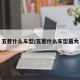 五菱什么车型/五菱什么车型最大