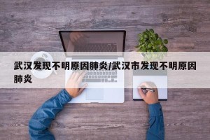 武汉发现不明原因肺炎/武汉市发现不明原因肺炎