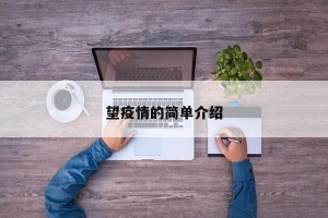 望疫情的简单介绍