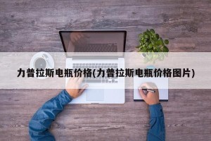 力普拉斯电瓶价格(力普拉斯电瓶价格图片)