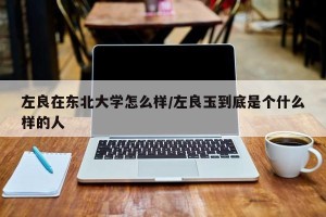 左良在东北大学怎么样/左良玉到底是个什么样的人