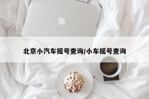 北京小汽车摇号查询/小车摇号查询
